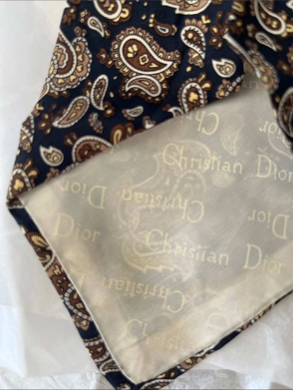 Christian Dior tie